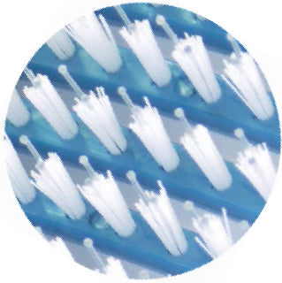 シャンプー&トリートメントブラシ シャン•ピ