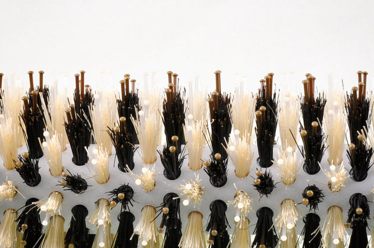 パンドラ マスターミックスロールブラシ S 直径45mm