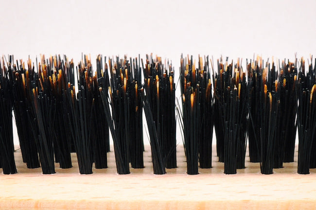 パンドラ 猪毛ブラッシング用ブラシ L