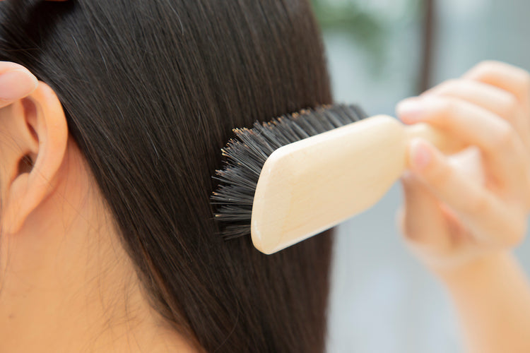 パンドラ 猪毛ブラッシング用ブラシ L