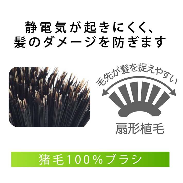 猪毛ブラシL 6行