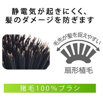猪毛ブラシS 5行